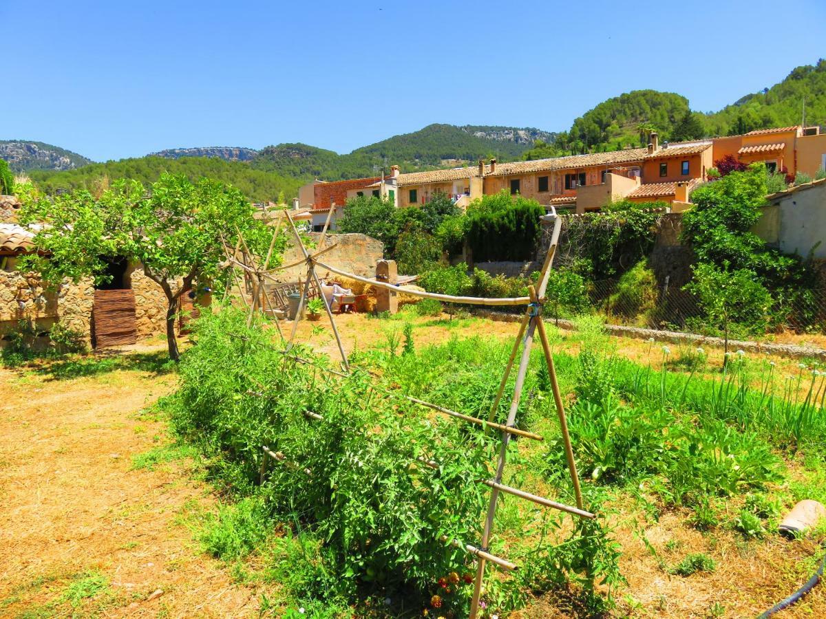 Sa Fita Backpackers - Albergue Juvenil Esporles Bagian luar foto